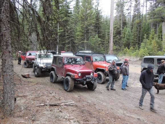 Wild Bill- 3/21/15