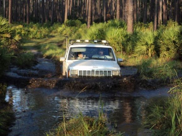 The wheeling trip in ONF that made the carpet disappear.