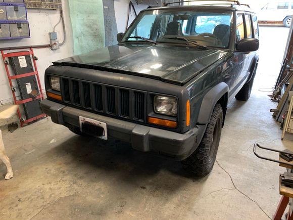 Stock 98. The beginning 🤔