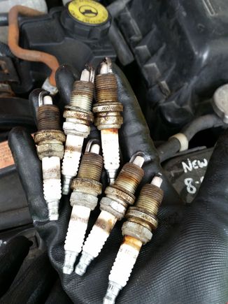 Idk how many miles you should change these, but they were way overdue.