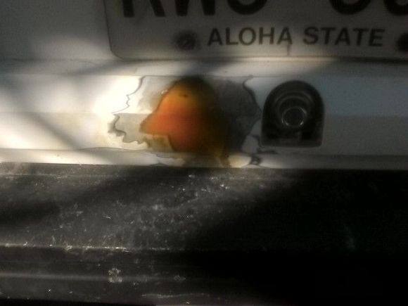 someone broke into it by smashing into the fibre glass with a hammer