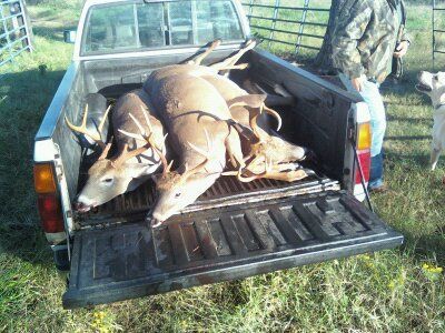 my buddies 9 and 8 pointer and my 9 pointer (i got the smaller one)... all 3 killed from 10 feet of the same stand in less then 20 minutes... hell of a morning lol....
