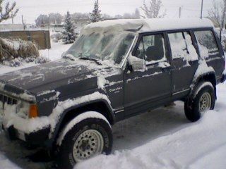 Gerie jeep loves the snow