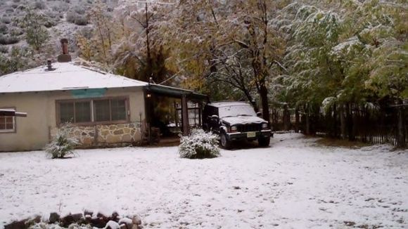 New Mexico Christmas Card