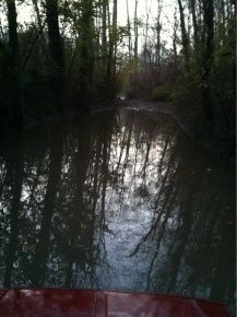 Jonson sandbar aka (Lake Go-Be-Gone) looking were I was going