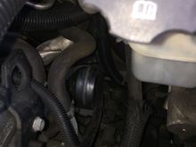 The rear mount hides down there!