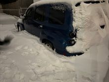 My PM Pictures