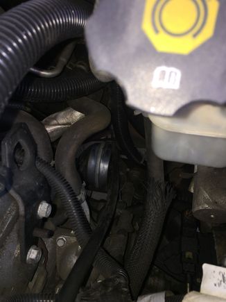 The rear mount hides down there!