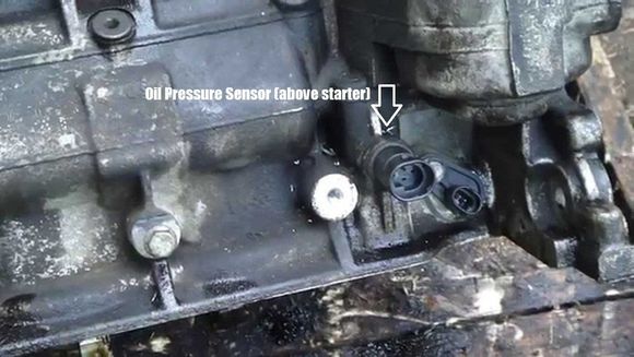 The oil pressure sender is above the starter, but the oil can run along the block and down to the floor , if the shotgun side  is lower.