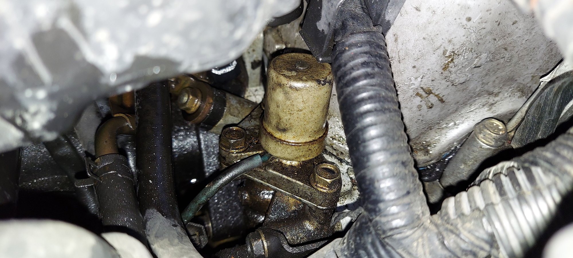 Oil leaking? Honda Civic Forum