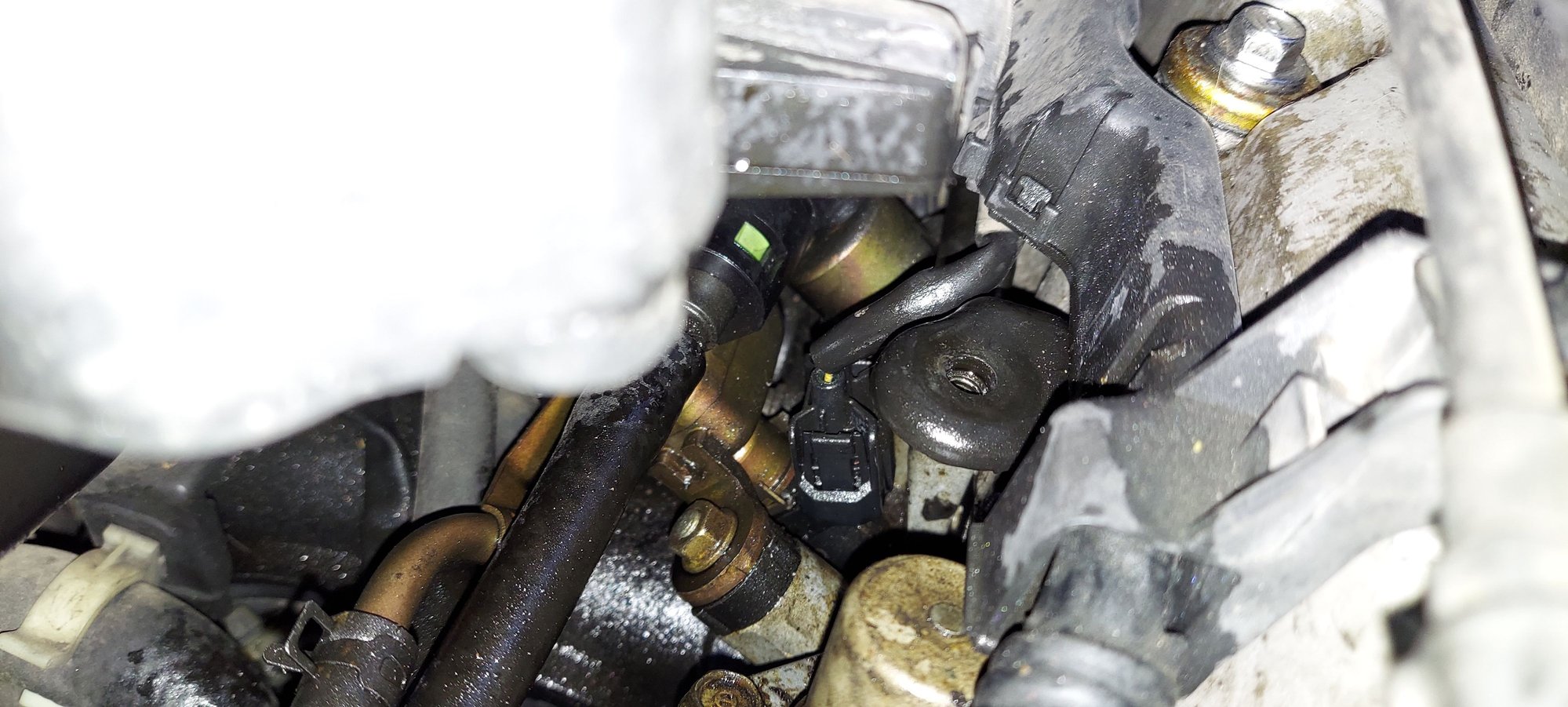 Oil leaking? Honda Civic Forum