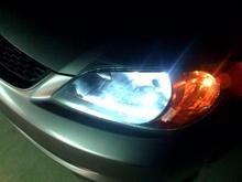 my hids with cleaned Lenses