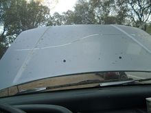 Windshield