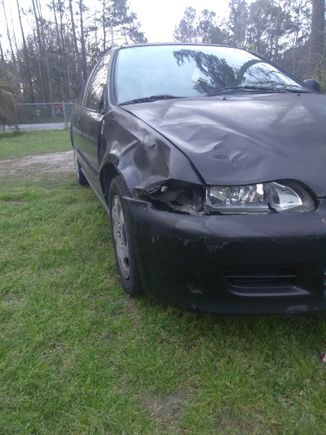 Next morning driving to work, hit a deer!