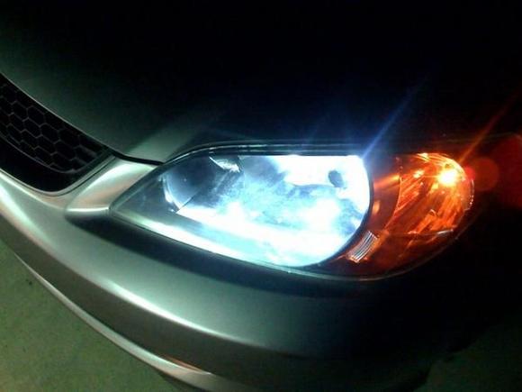 my hids with cleaned Lenses