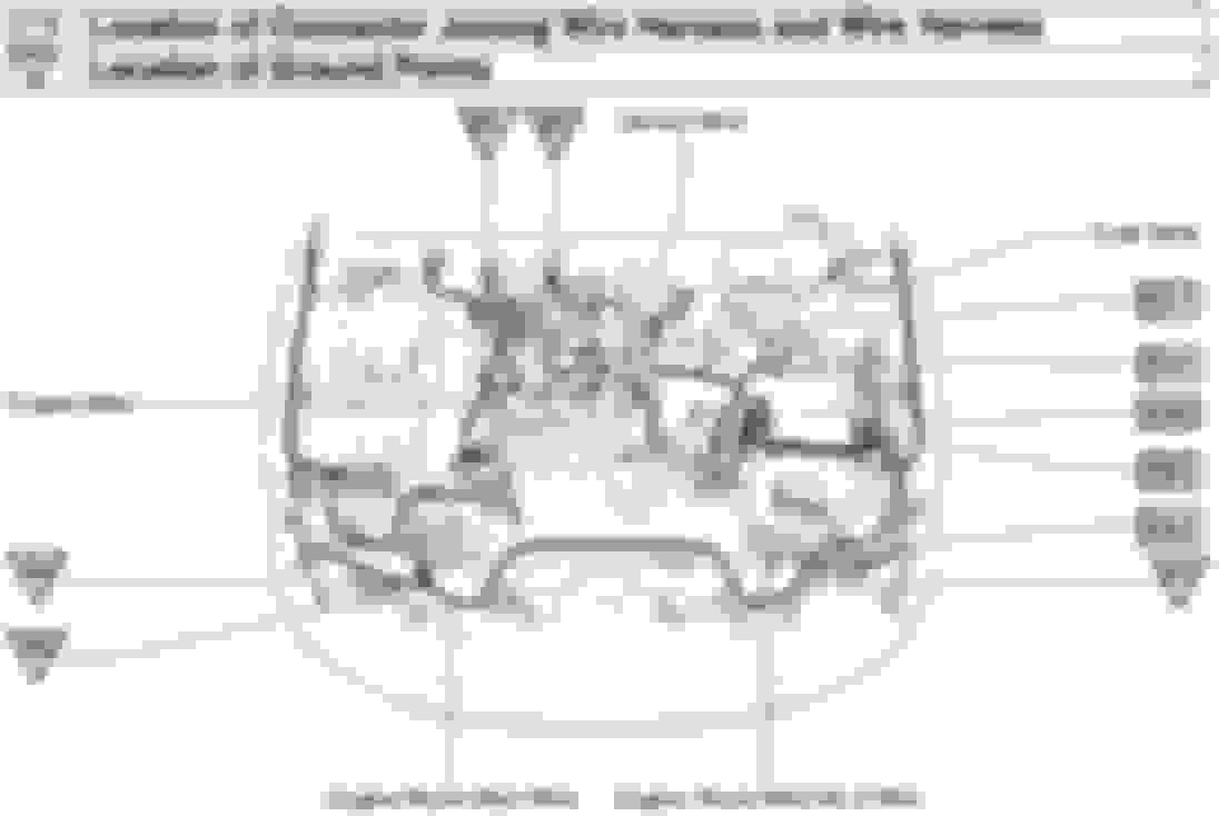1993 Lexu Es300 Engine Diagram