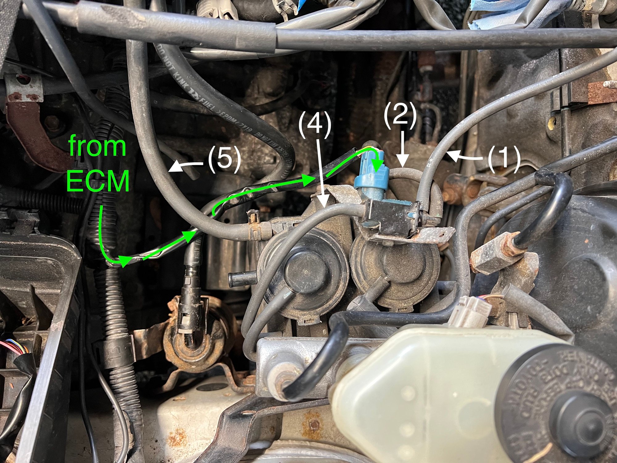 97 ES300 vacuum problem / schematic needed ClubLexus Lexus Forum
