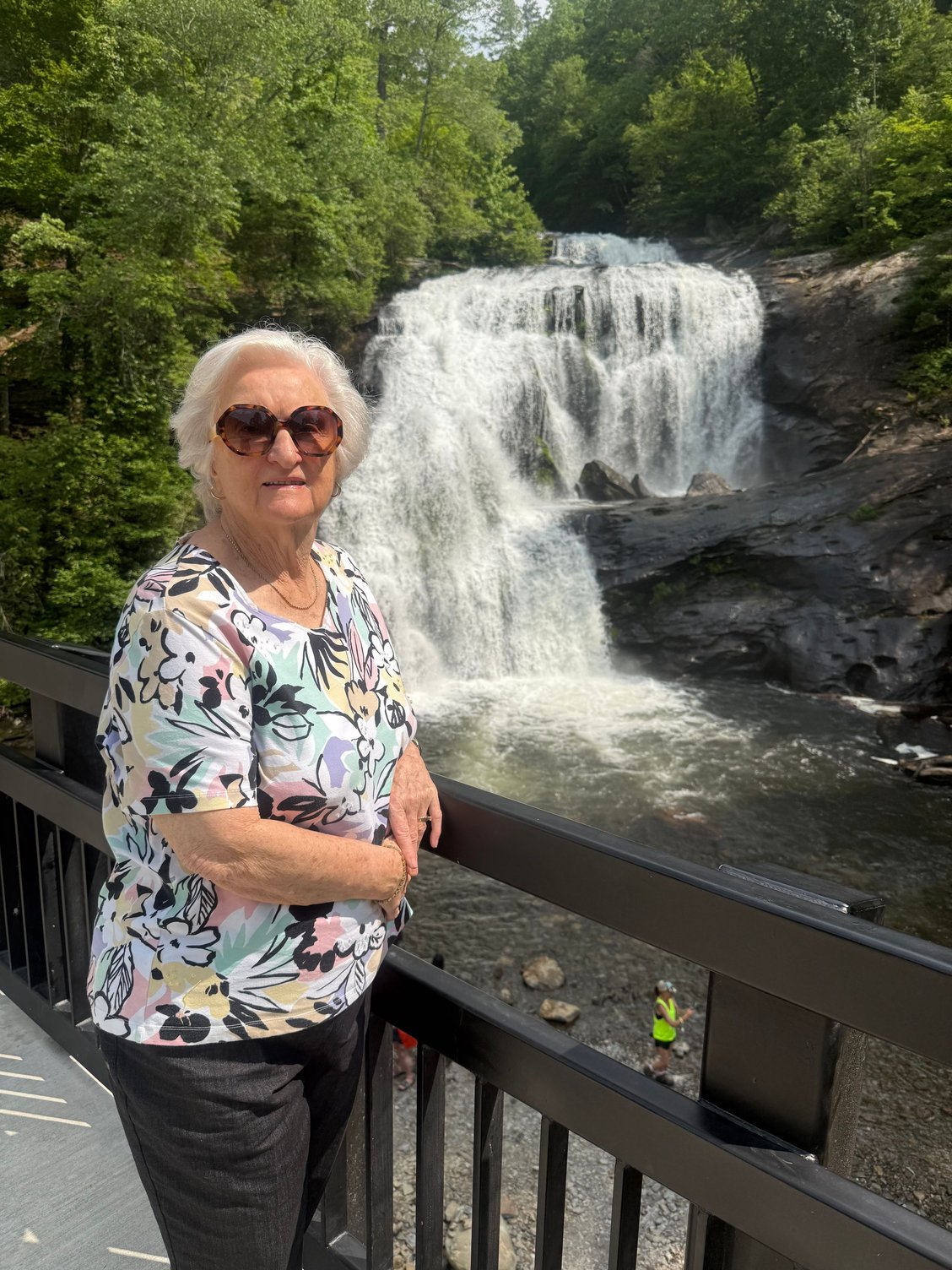 Bald River Falls, NC