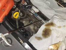 Air gun was used to blow each intake out.