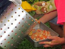 Shrimp boil