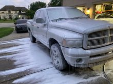 Washed and clayed before moving back inside 