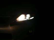 BOTH LED low beams ON   AND   OEM  halogen high beams ON.