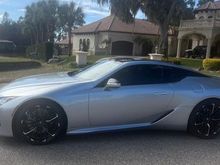 Sand Hill Cranes were impressed