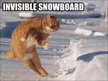 invisible snowboard 2