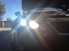 Zenon Supply HID headllights