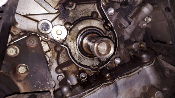 The wear mark on the oil seal is visible as a light metal ring.