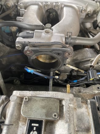 It was pinched between the throttle body could’ve been another reason why it kept dying 