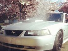 Washing the beast on a nice day!