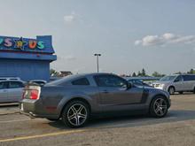 Toysrus and my mustang