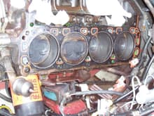 1988 Ford Mustang LX 5.0 HO head gasket repair June/10