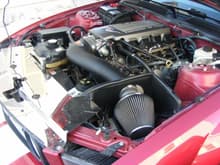side shot of engine compartment