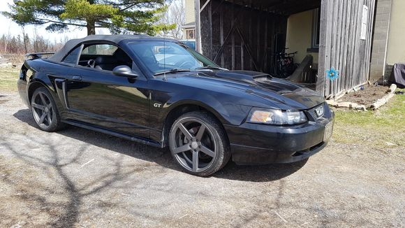 Fresh from storage