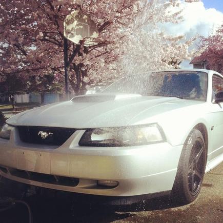 Washing the beast on a nice day!