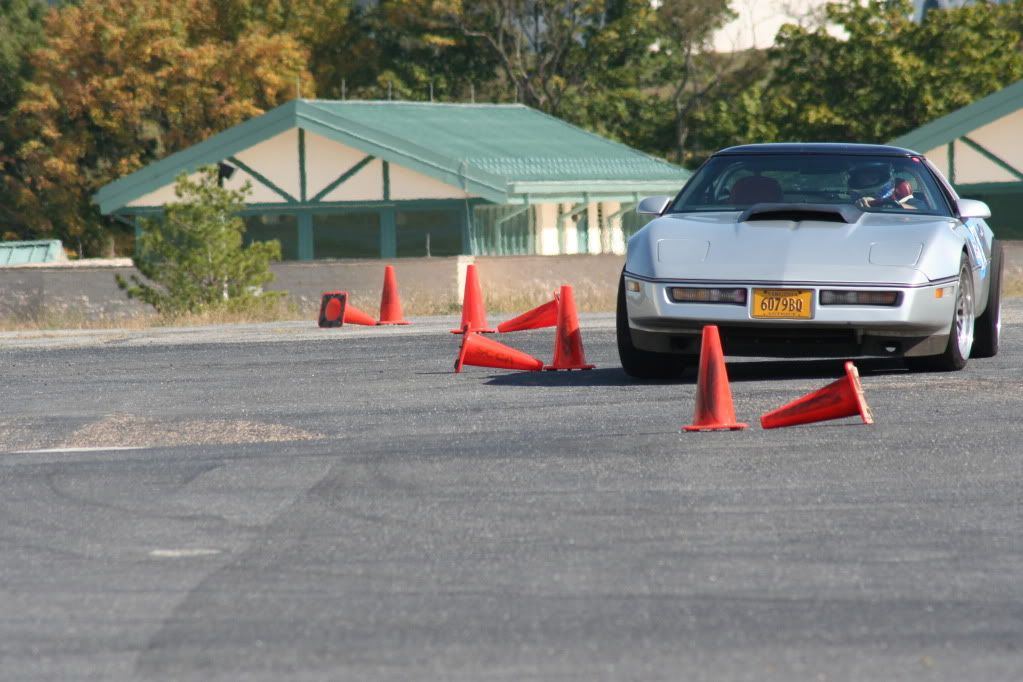 [Image: 80-collegesolo6_0383baf94886e2a2f9ff1ecc...9e87a4.jpg]