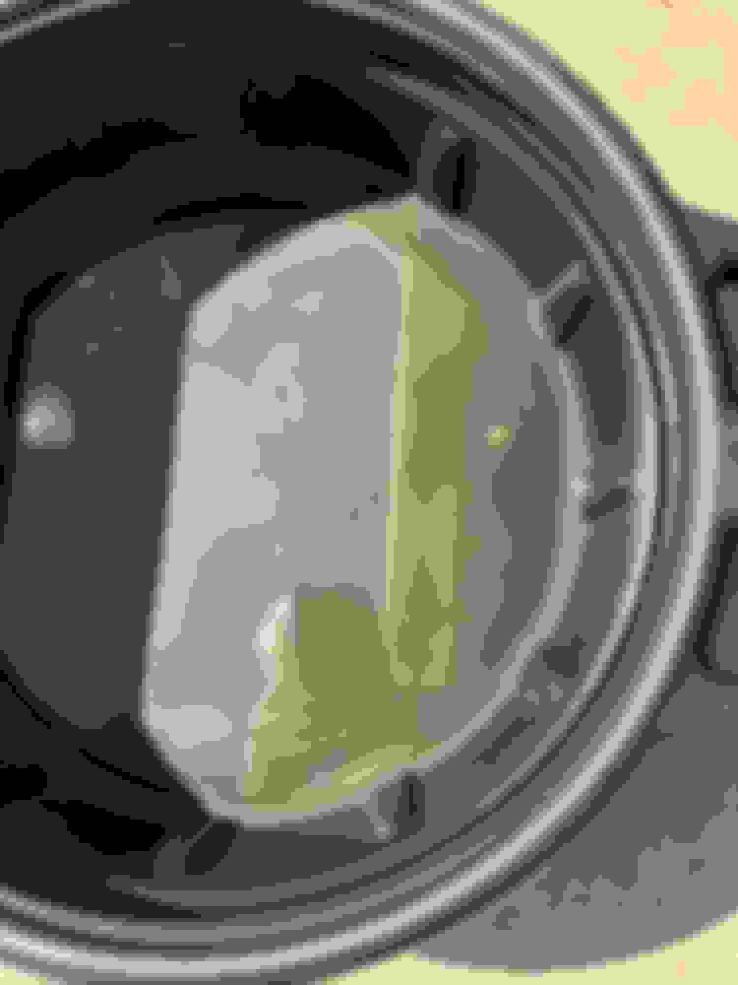 DIY C7 2016 Z06 Differential Fluid Change CorvetteForum Chevrolet