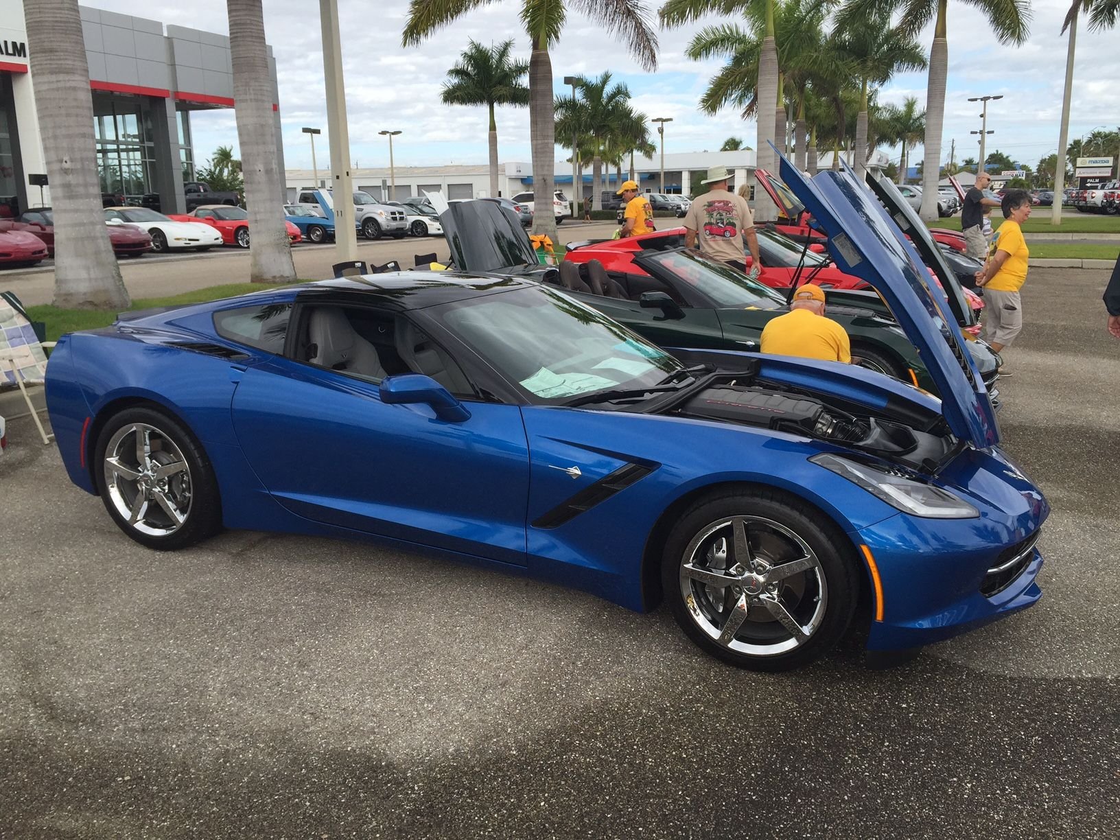 Venice Florida Corvettes Eye Candy CorvetteForum Chevrolet Corvette
