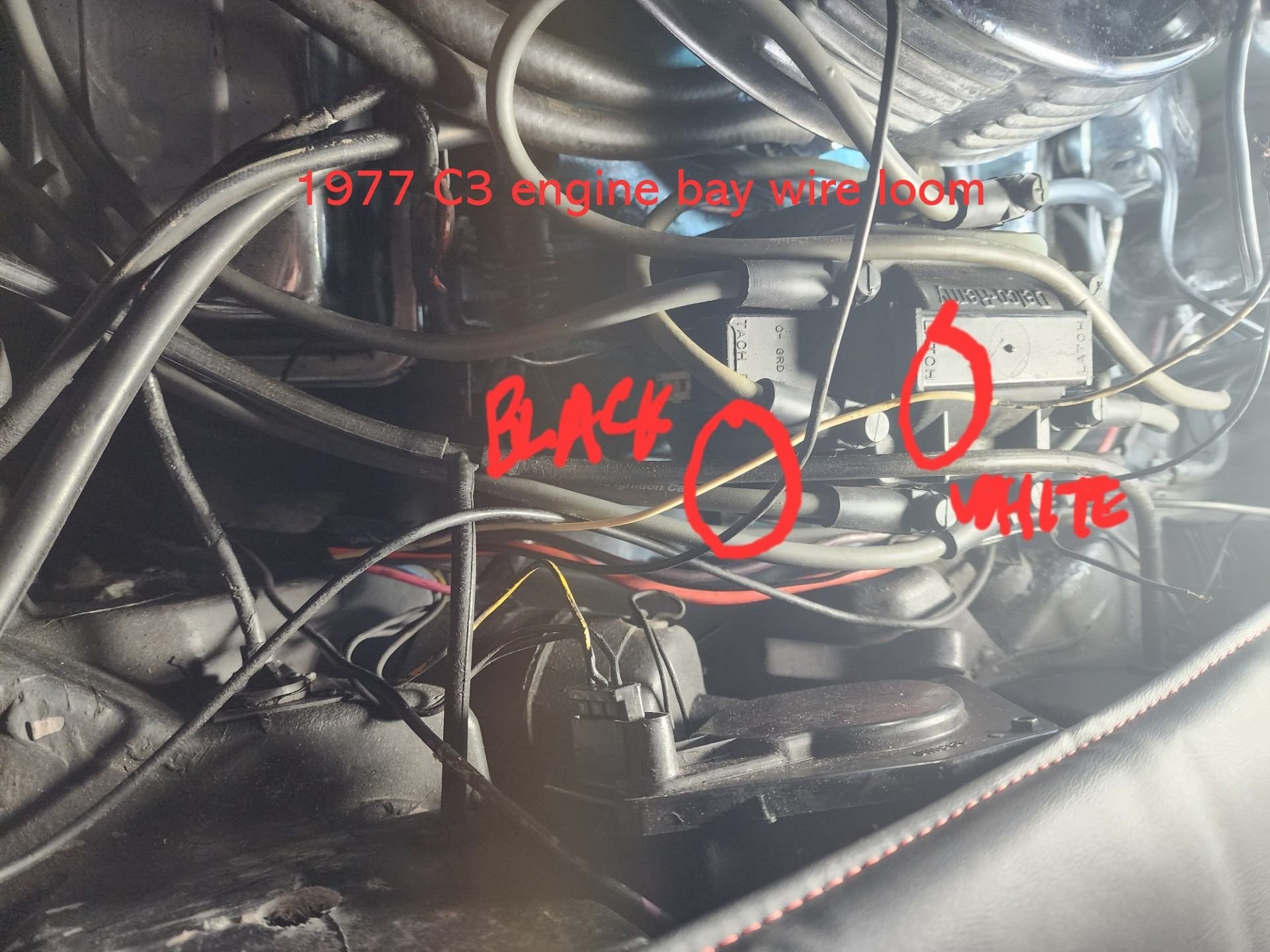 Engine wire loom has a white and a black that goes to? Engine bay clean up revealed these wires 