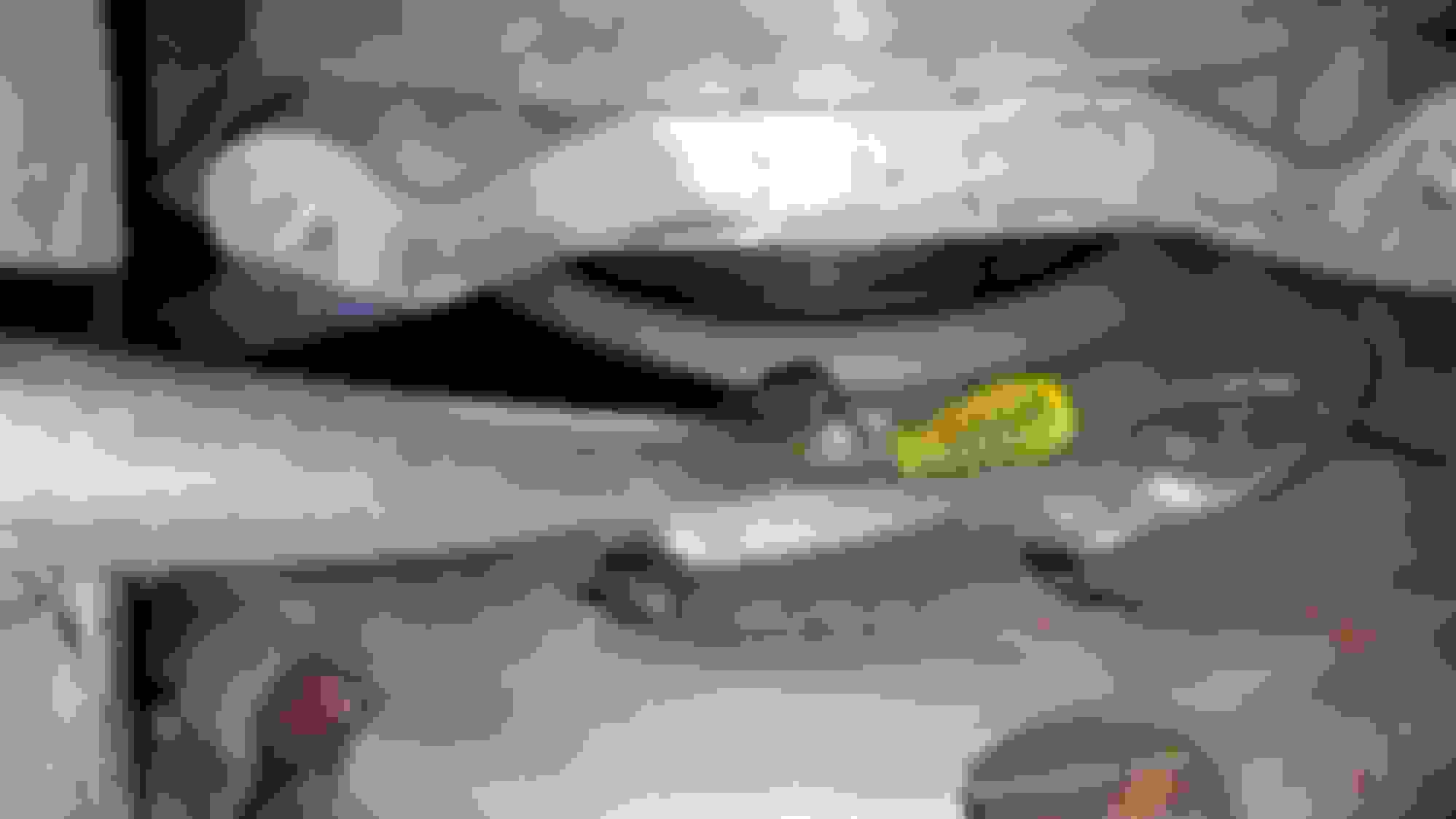 Clutch/Throw out/pilot bearing noise CorvetteForum Chevrolet