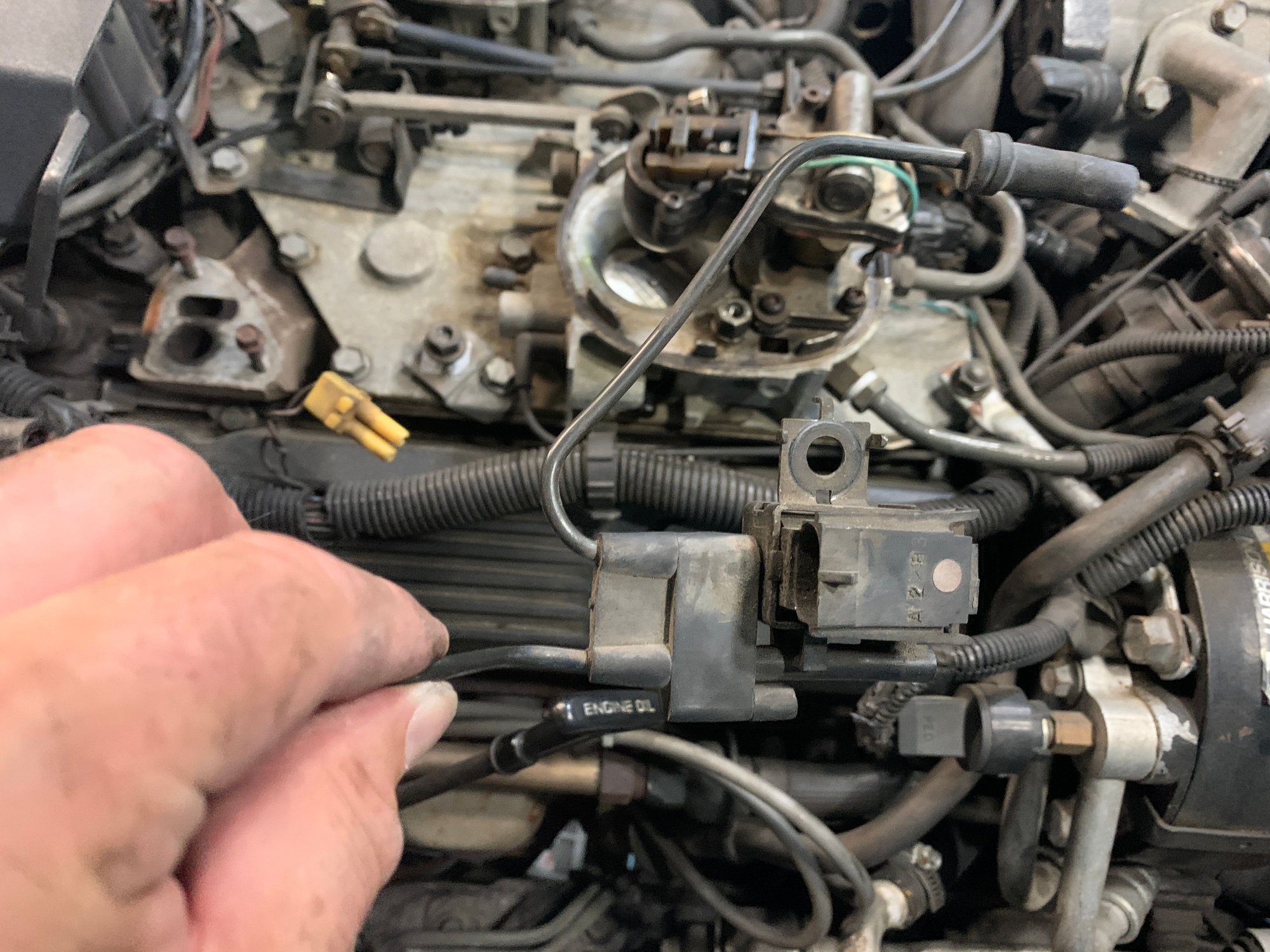 Yellow plug goes to the solenoid relay.