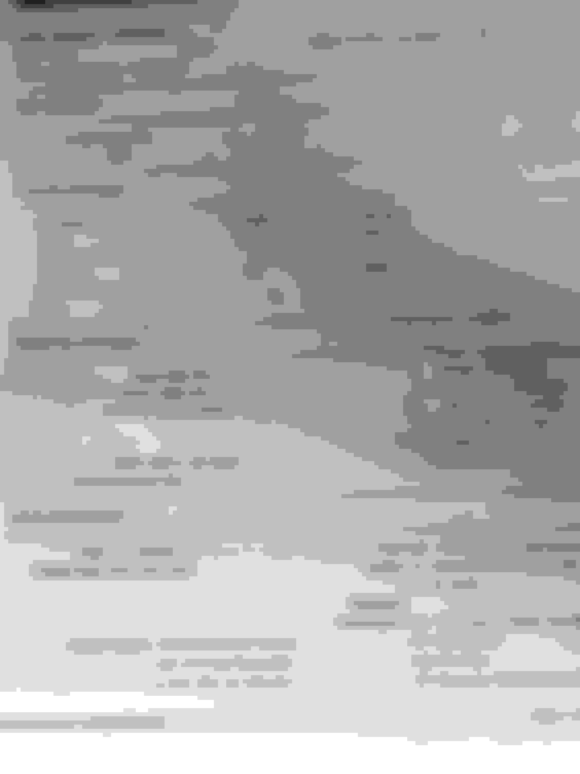 2/3/20 TPW build thread - CorvetteForum - Chevrolet Corvette Forum ...