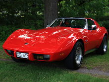 My Corvette in the park with the t-tops off