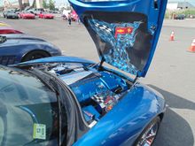 Custom hood liner by Steve Ray.  We have won several trophies with this customized C6.