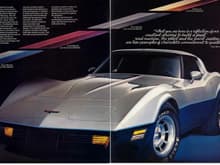When I was a kid, I took this out of the centerfold of the 1981 Corvette brochure.  Hung it on my closet door, as I was in love with the two-tone C3s of 81 &amp; 82. When I found one, with a 4-speed...it was a no-brainer.