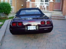 Corvette3