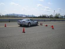 IMG 7212 (Small)