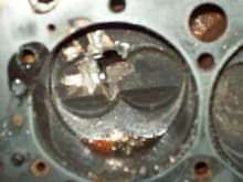 reason for new motor. broken valve spring